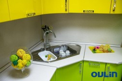 Кухонная мойка Oulin OL-310